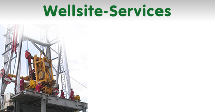 Mud-Logging-Service